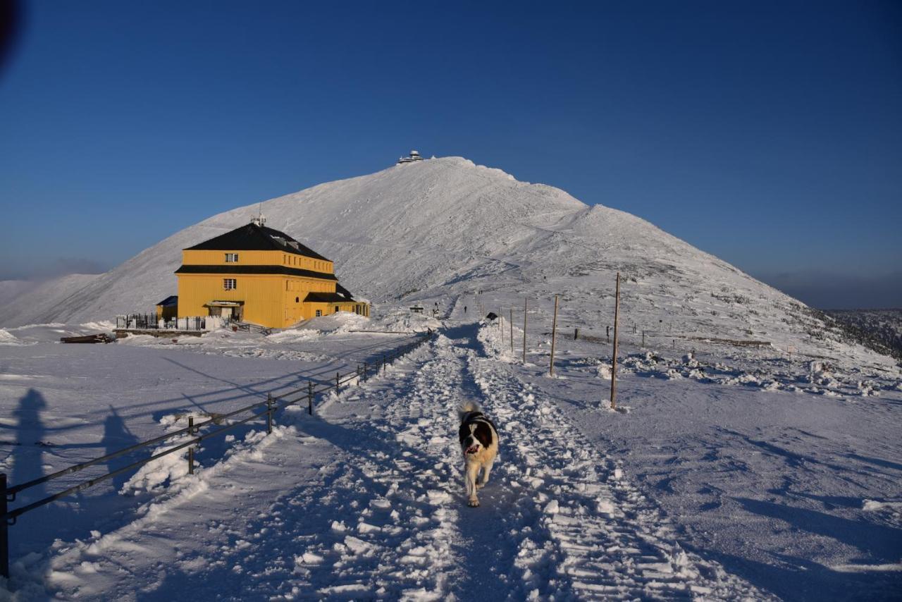 Leilighet Karkonoska 12 *